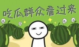 全家带凳子吃瓜全集免费观看,一场欢乐的夏日盛宴