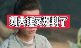 刘大锤都爆料过谁了视频,揭秘娱乐圈那些不为人知的秘密